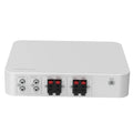 Hikvision DS-QAE0A60G1-VB — الخلفية RCA + CH1 CH2 + 100V