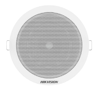 DS-QAE0206G1-V